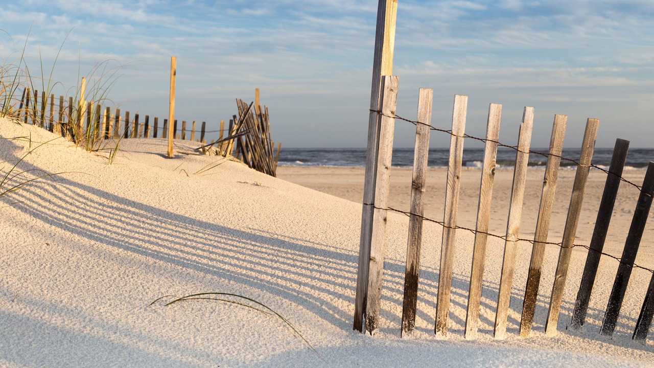 Photo of Others in Orange Beach