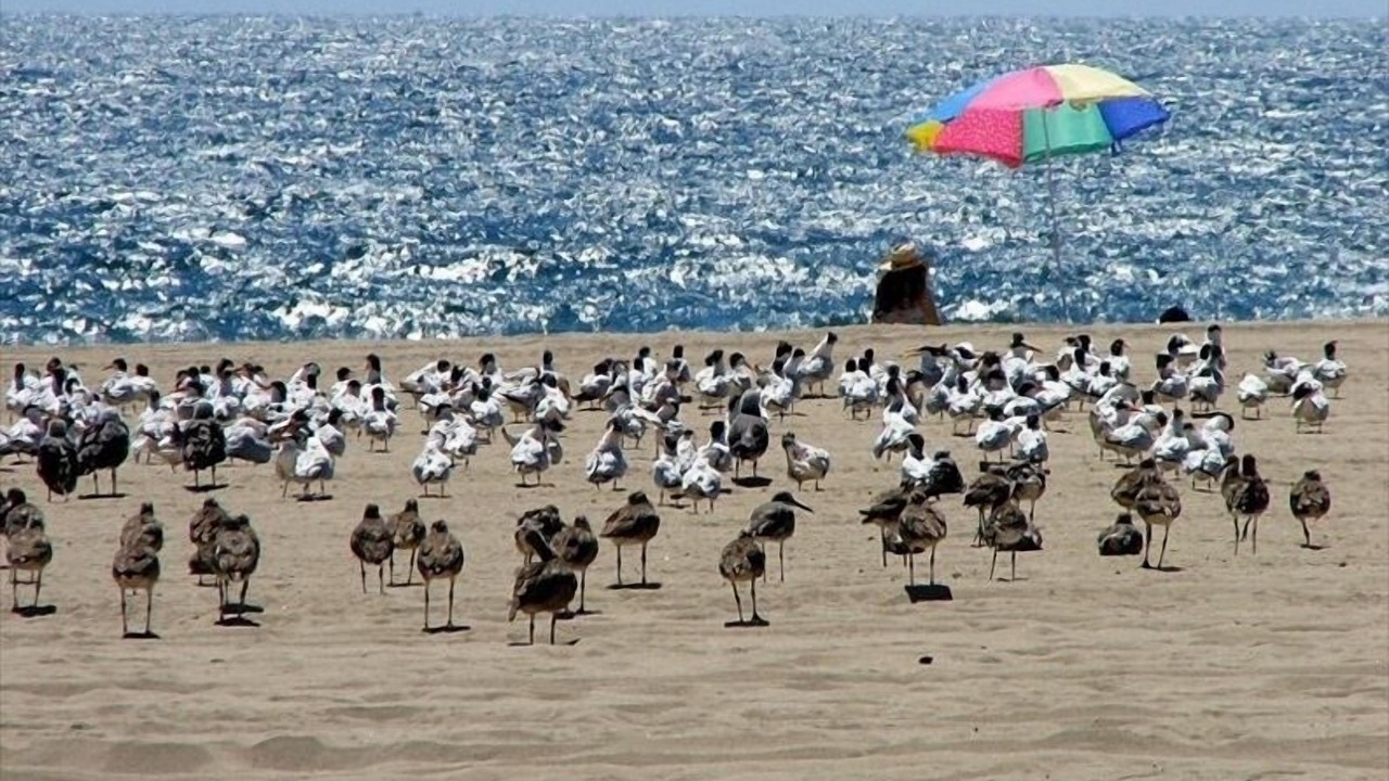 Photo of Others in The Strand