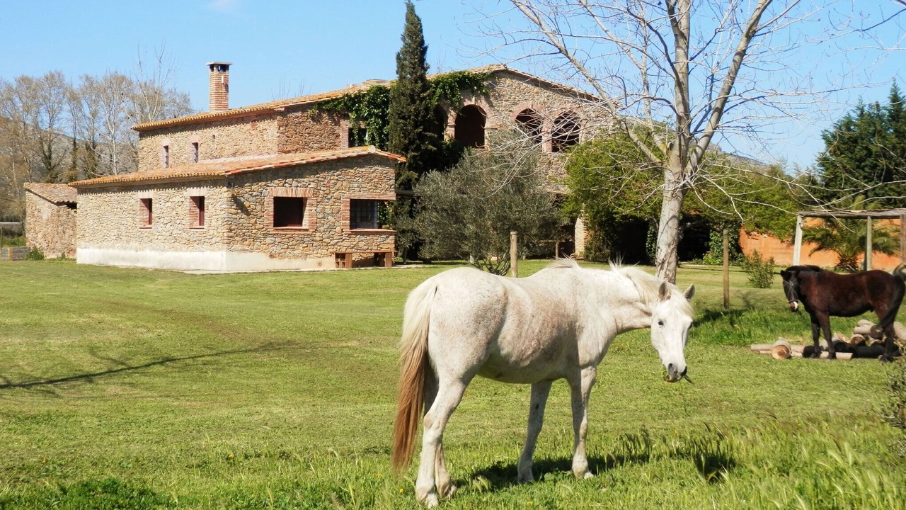 Photo of Others in Torroella de Montgri