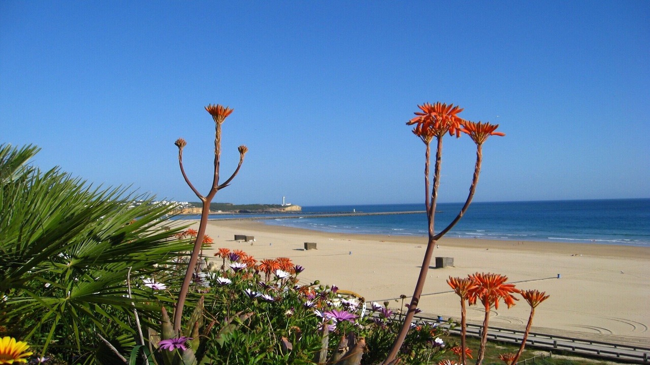 Photo of Others in Telheiro
