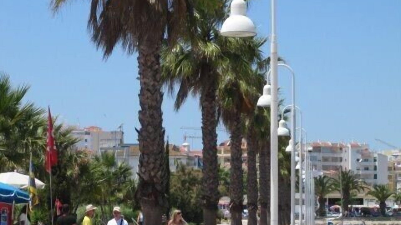Photo of Others in Telheiro