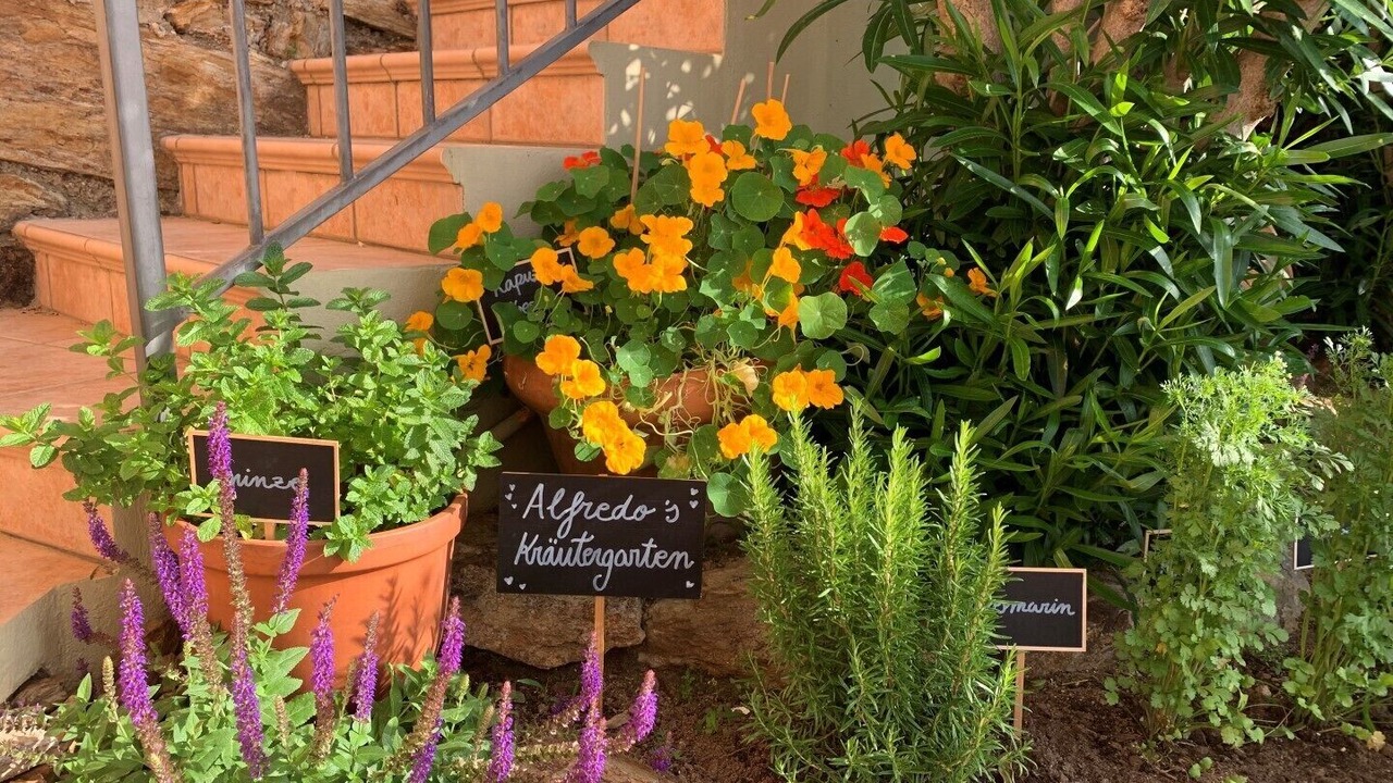 Photo of Outdoor in El Mas Fumats