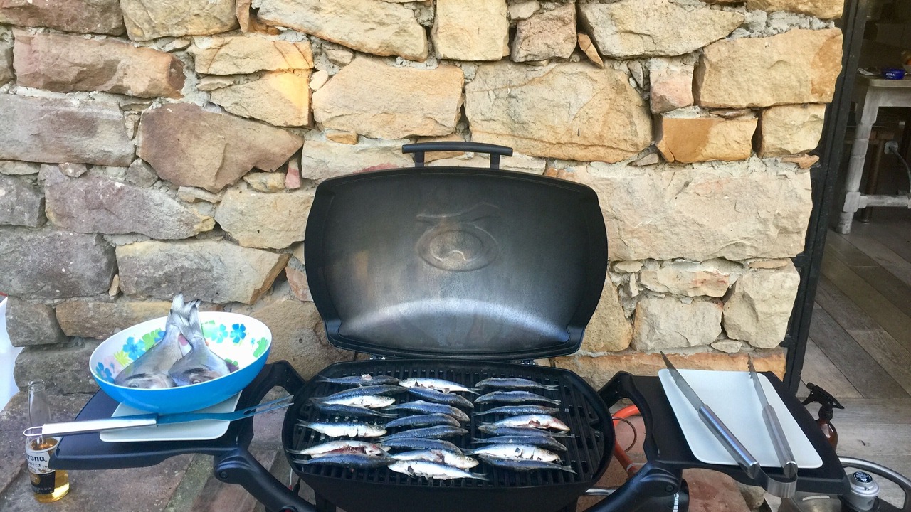Photo of Others in Bolonia