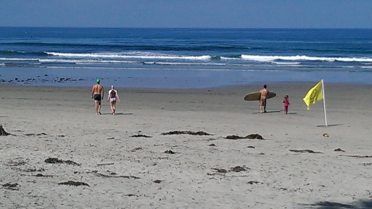 Photo of Others in Del Mar Heights