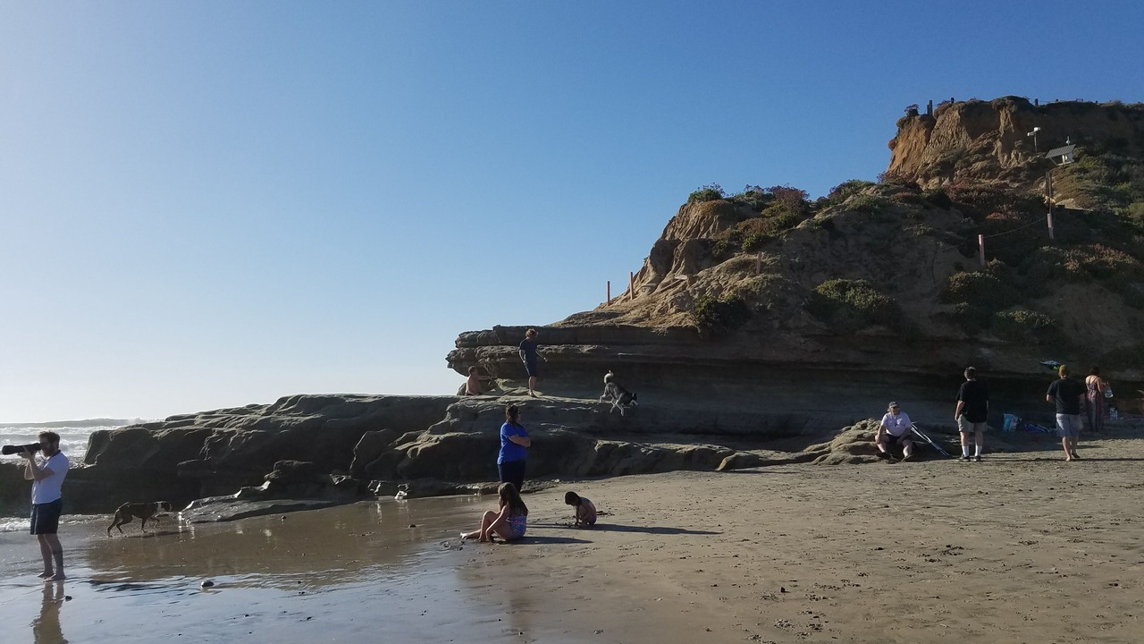 Photo of Others in Del Mar Heights