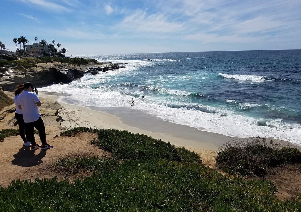 Photo of Others in Del Mar Heights