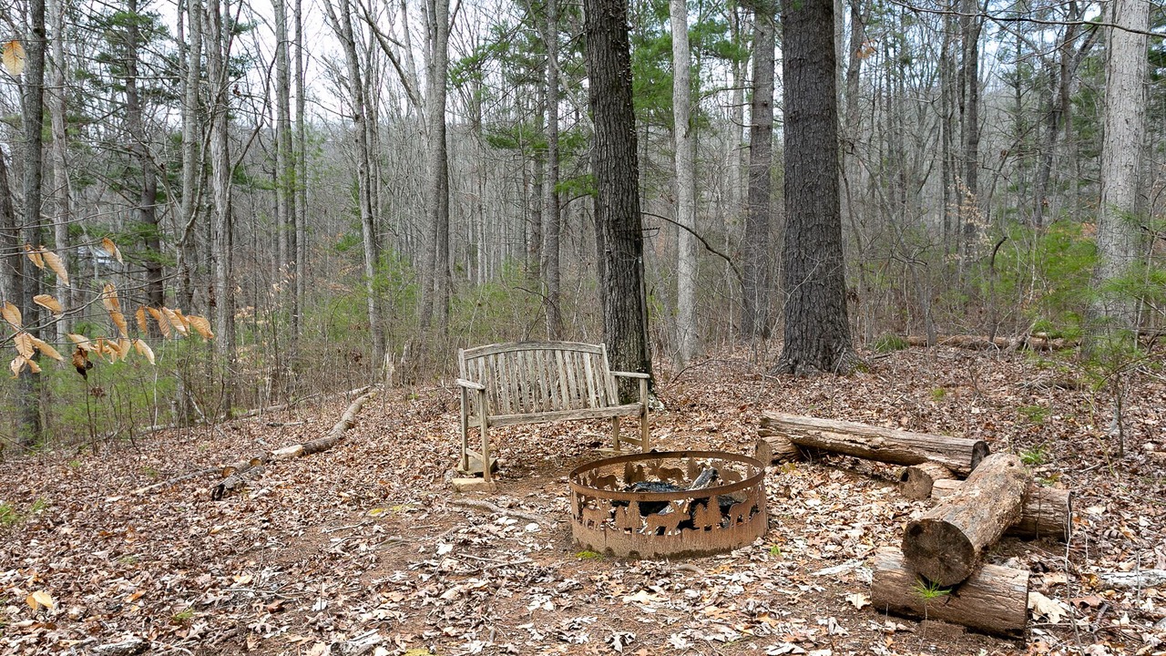 Photo of Others in Weaverville
