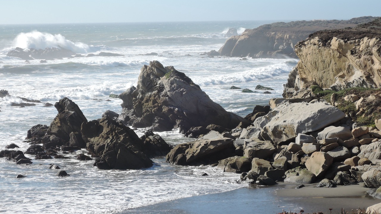 Photo of Others in Sea Ranch