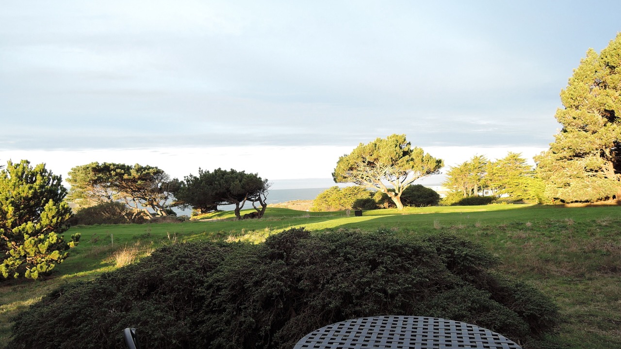 Photo of Others in Sea Ranch