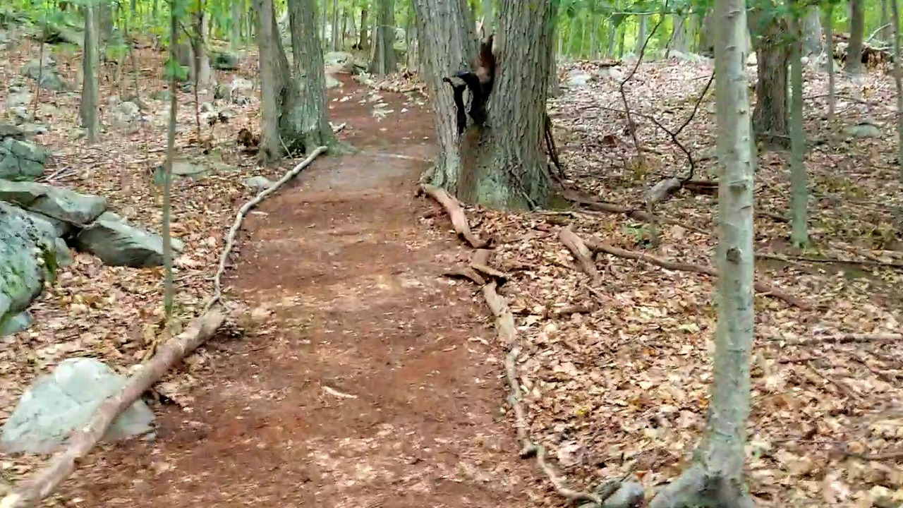Photo of Others in Putnam Valley