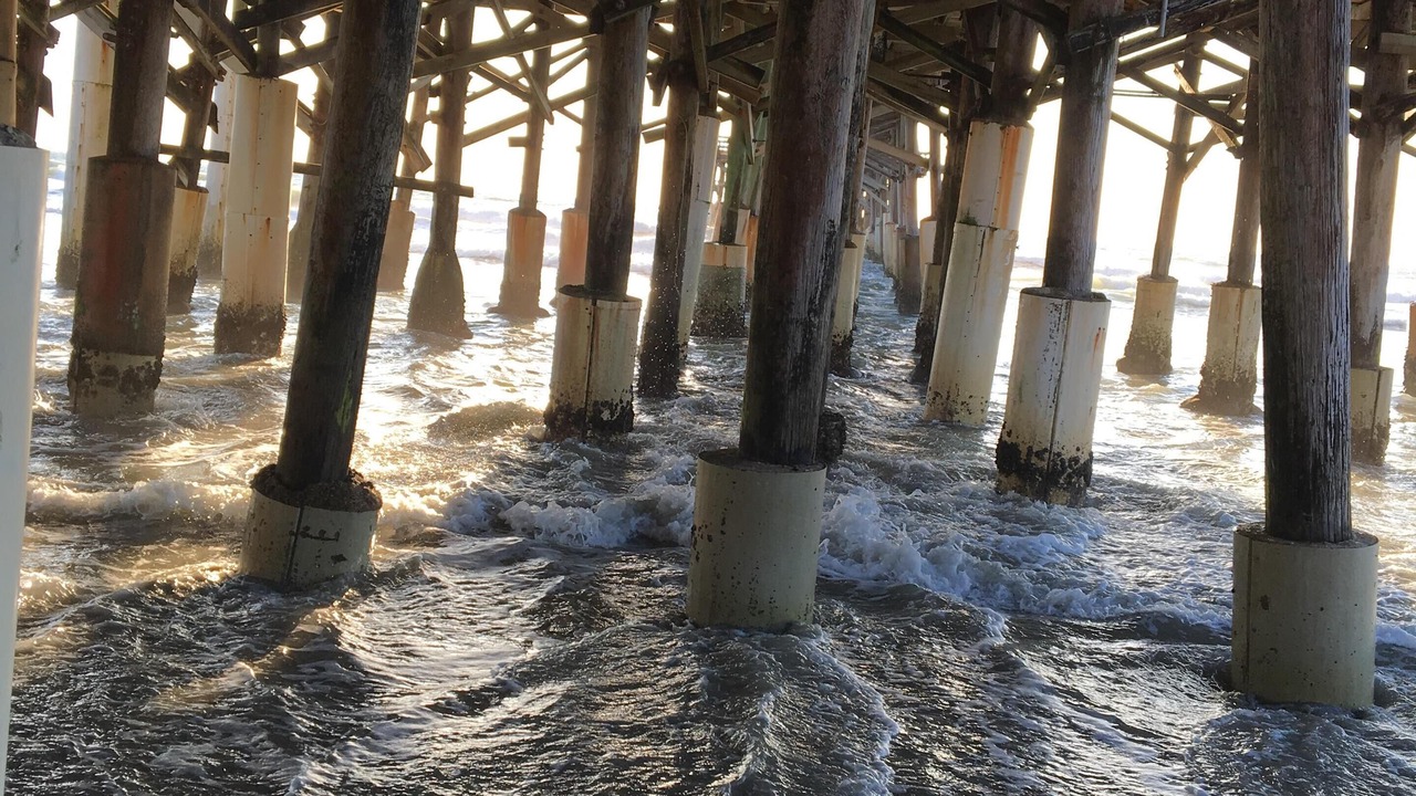 Photo of Others in Cocoa Beach