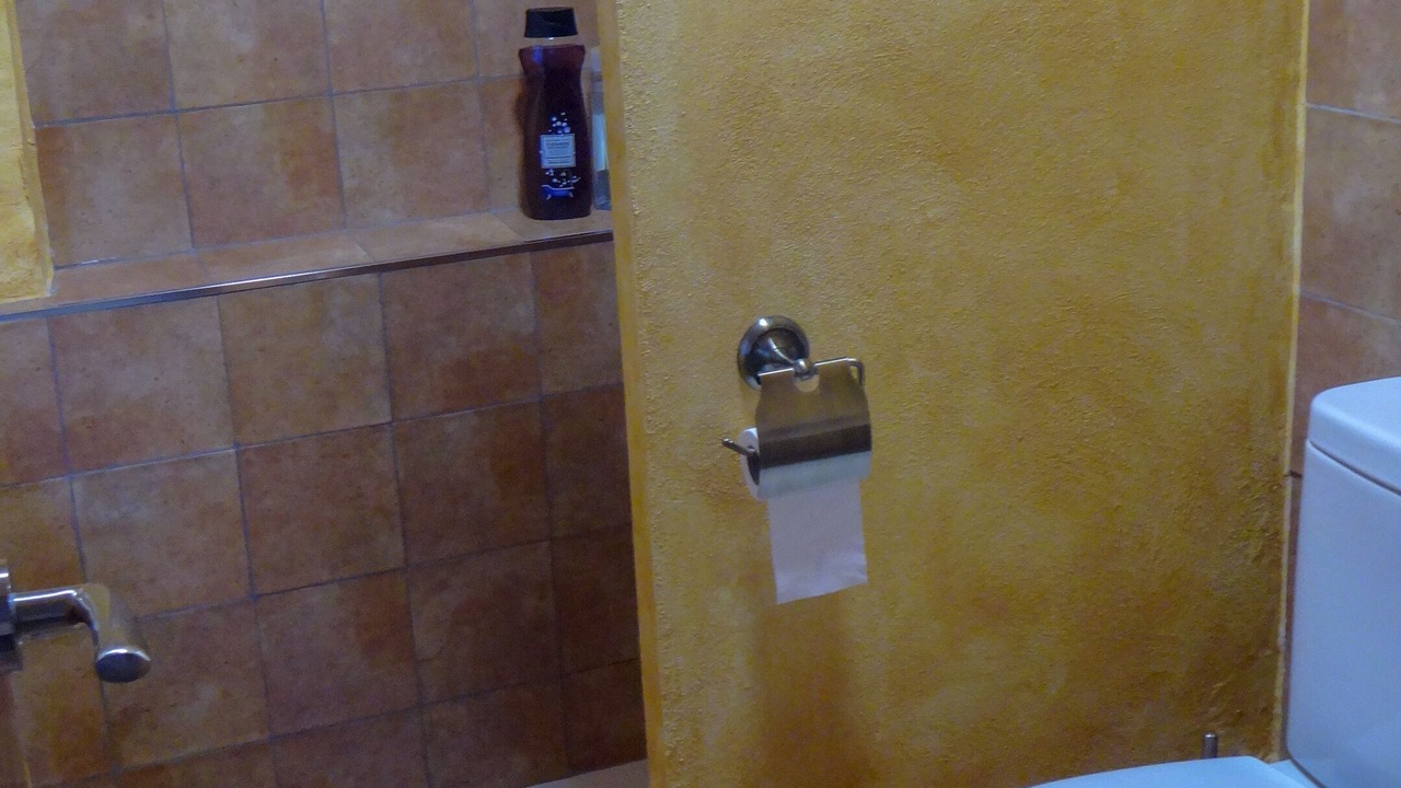 Photo of Bathroom in Jerica