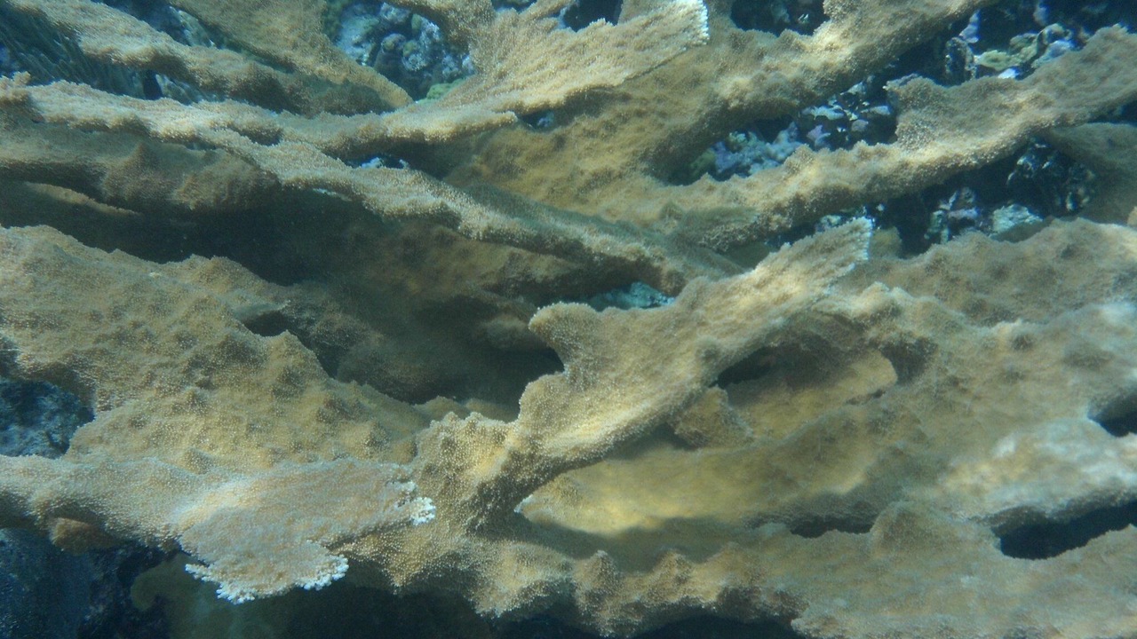 Photo of Others in Hartswell