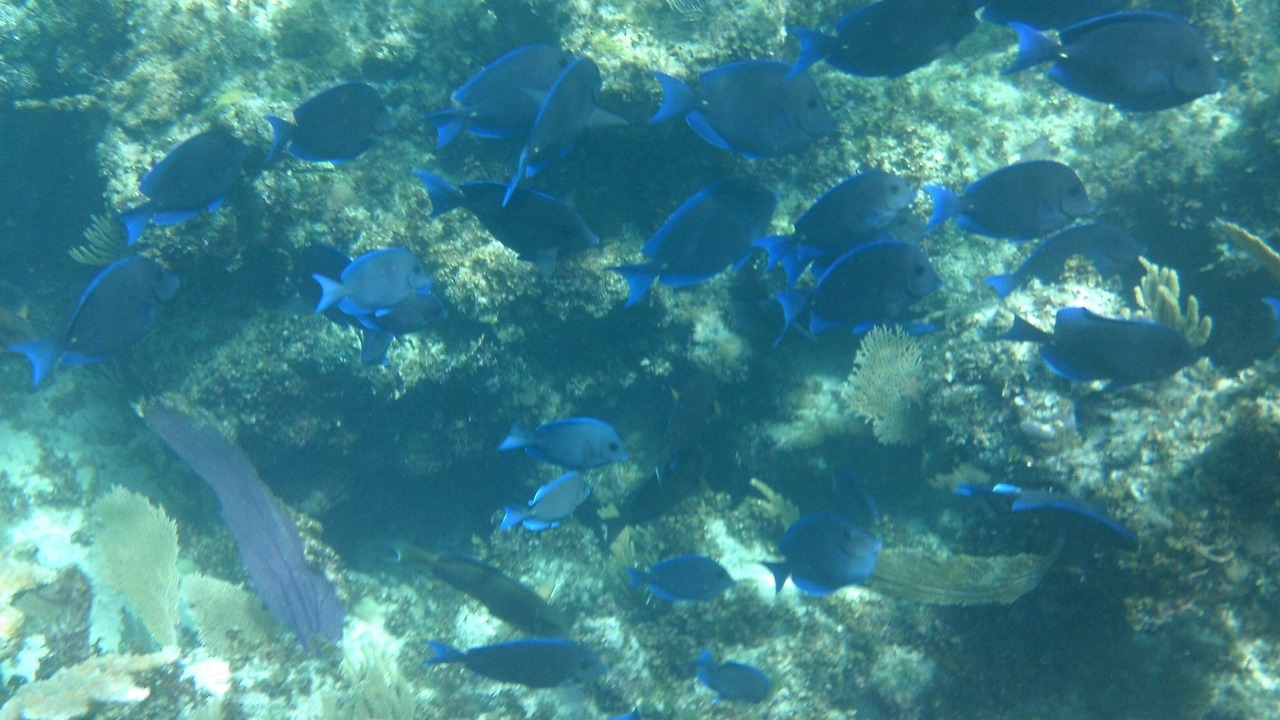 Photo of Others in Hartswell