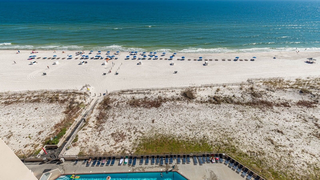 Photo of Others in Orange Beach East