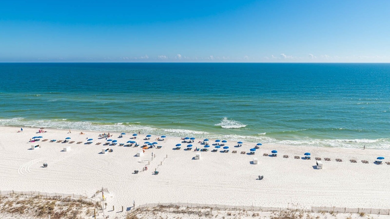 Photo of Others in Orange Beach East