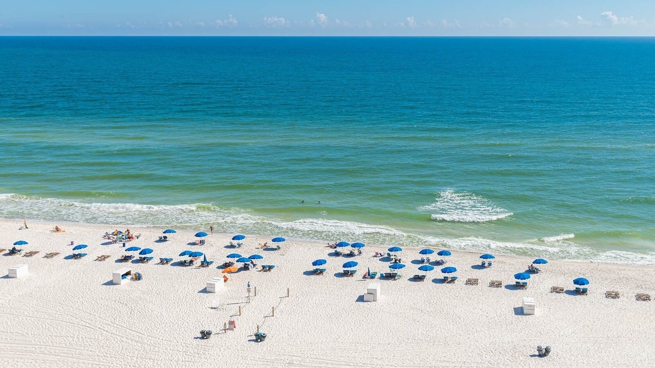 Photo of Others in Orange Beach East