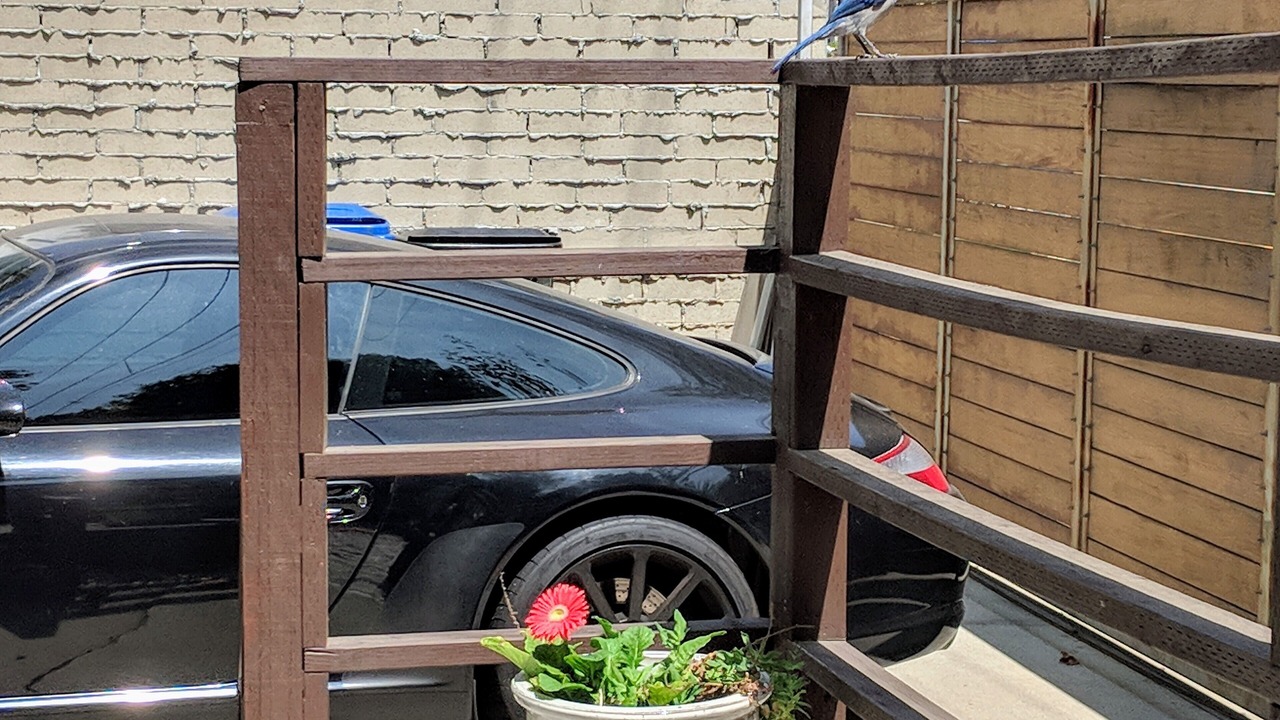 Photo of Others in Beverly Glen