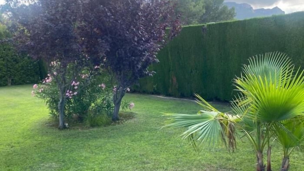 Photo of Outdoor in Miami Platja