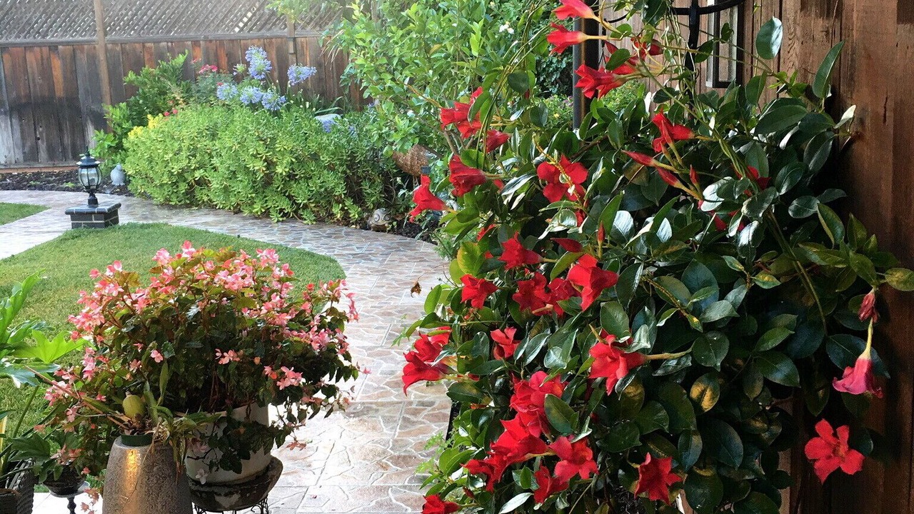 Photo of Outdoor in Cambrian Community