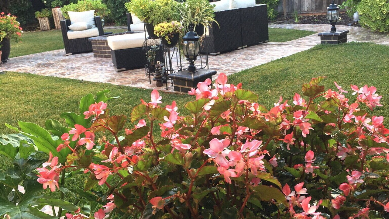 Photo of Outdoor in Cambrian Community