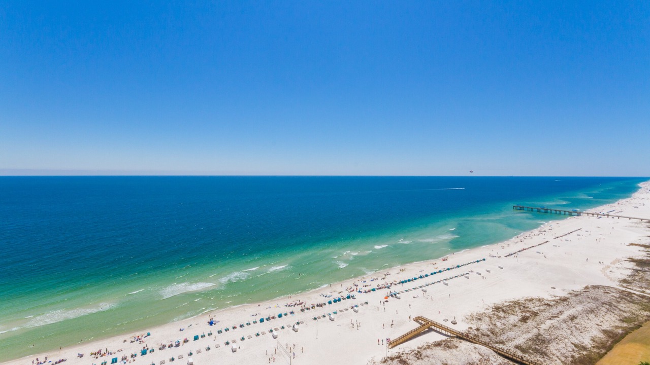 Photo of Others in Orange Beach