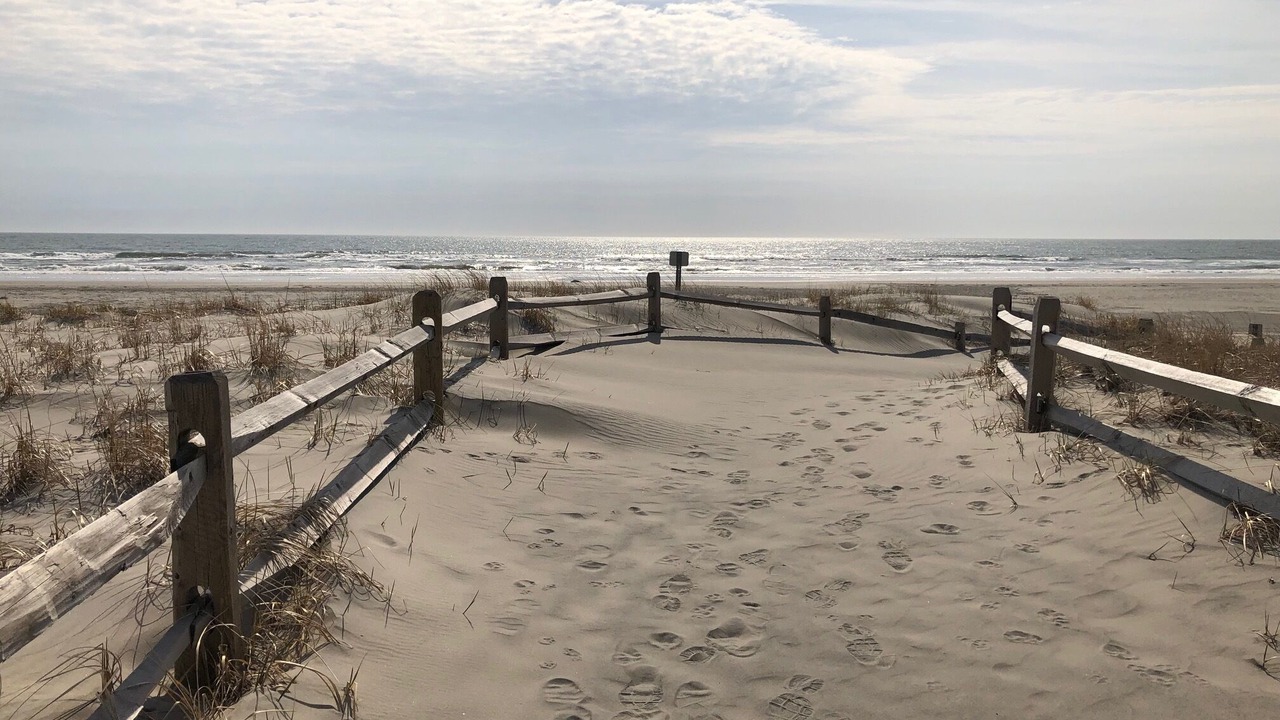 Photo of Others in Sea Isle City