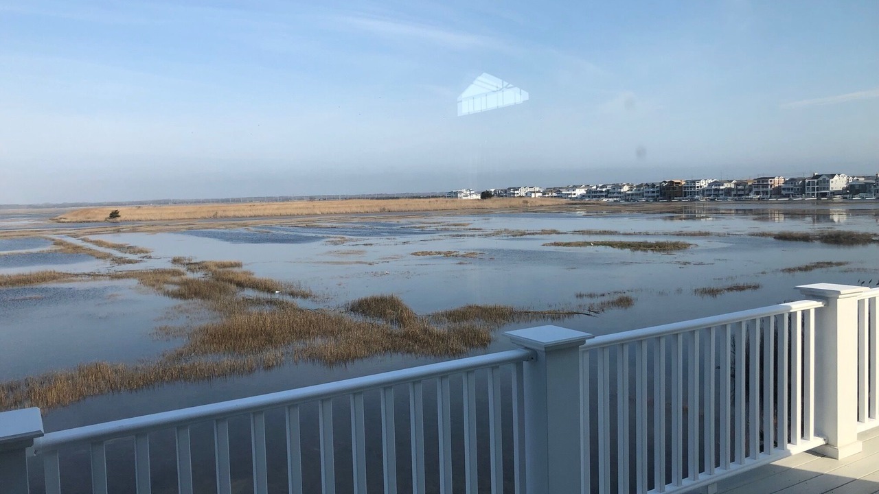 Photo of Outdoor in Sea Isle City