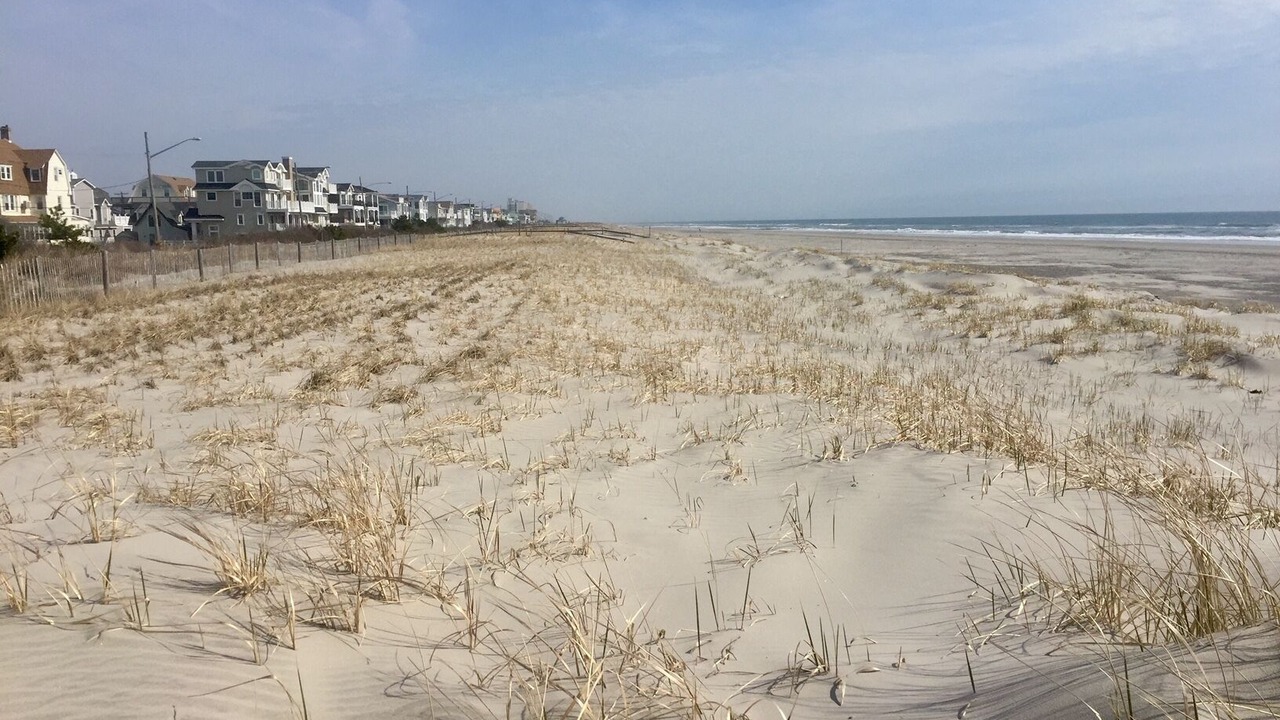 Photo of Others in Sea Isle City