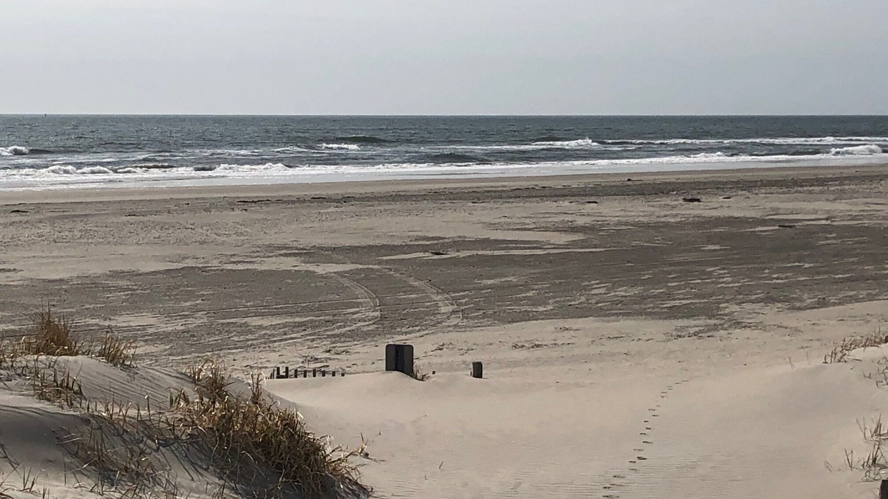 Photo of Others in Sea Isle City