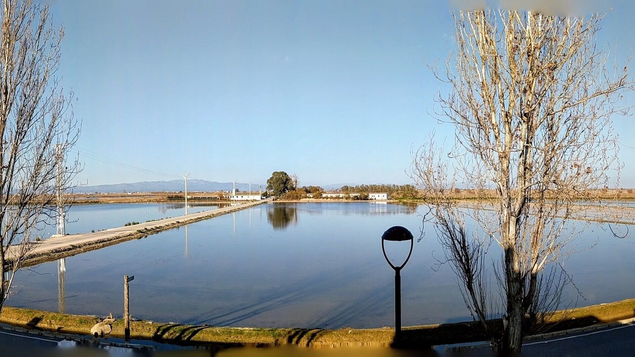 Photo of Others in Poble Nou del Delta