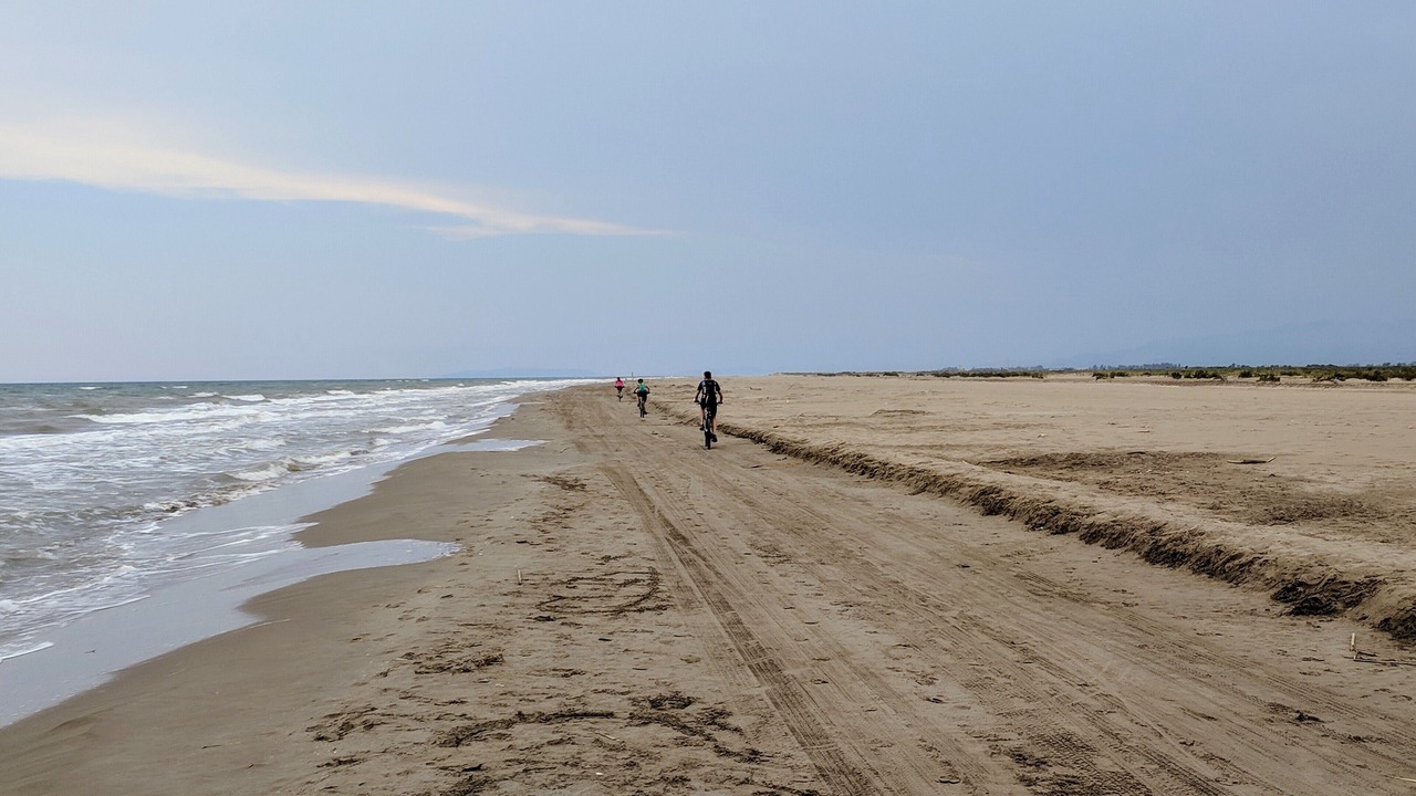 Photo of Others in Poble Nou del Delta