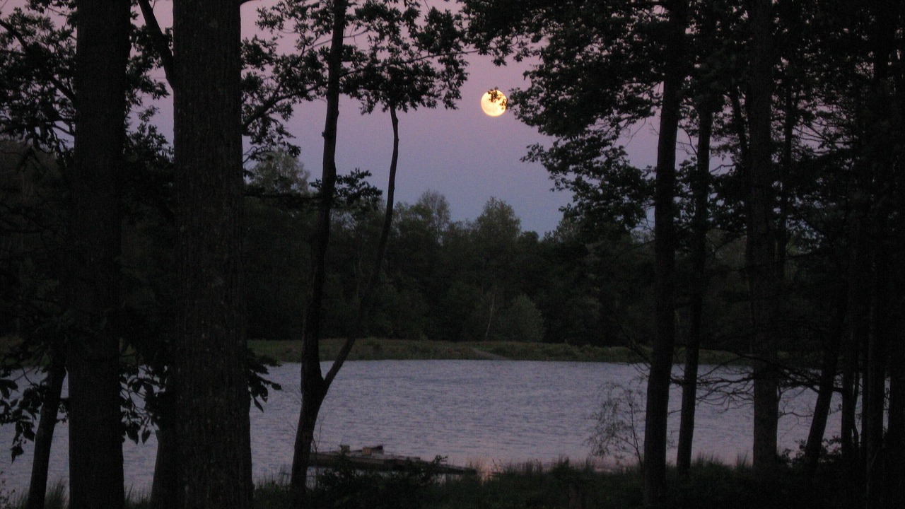 Photo of Others in Milford
