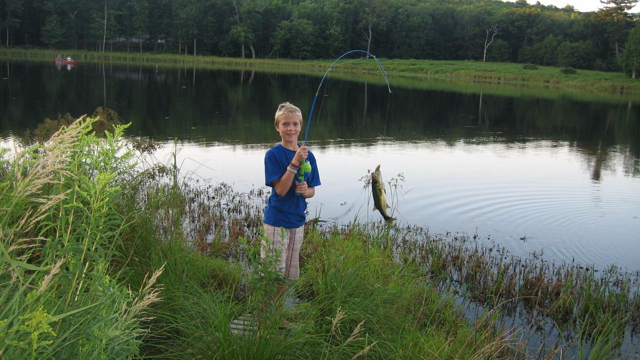 Photo of Others in Milford