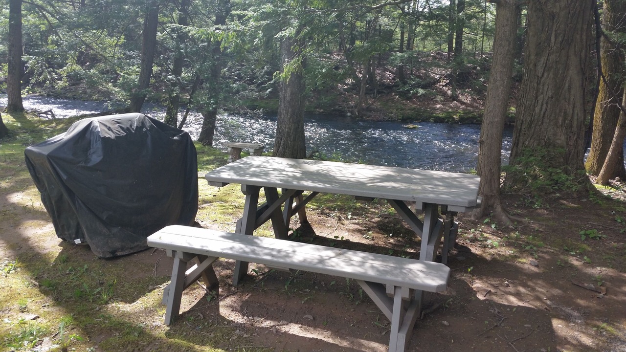 Photo of Others in Saugerties