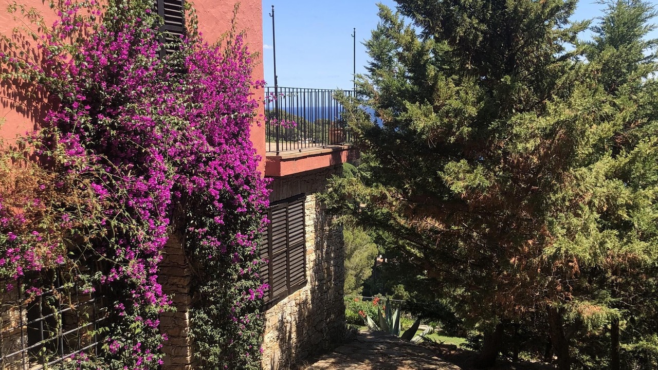 Photo of Outdoor in Sa Riera