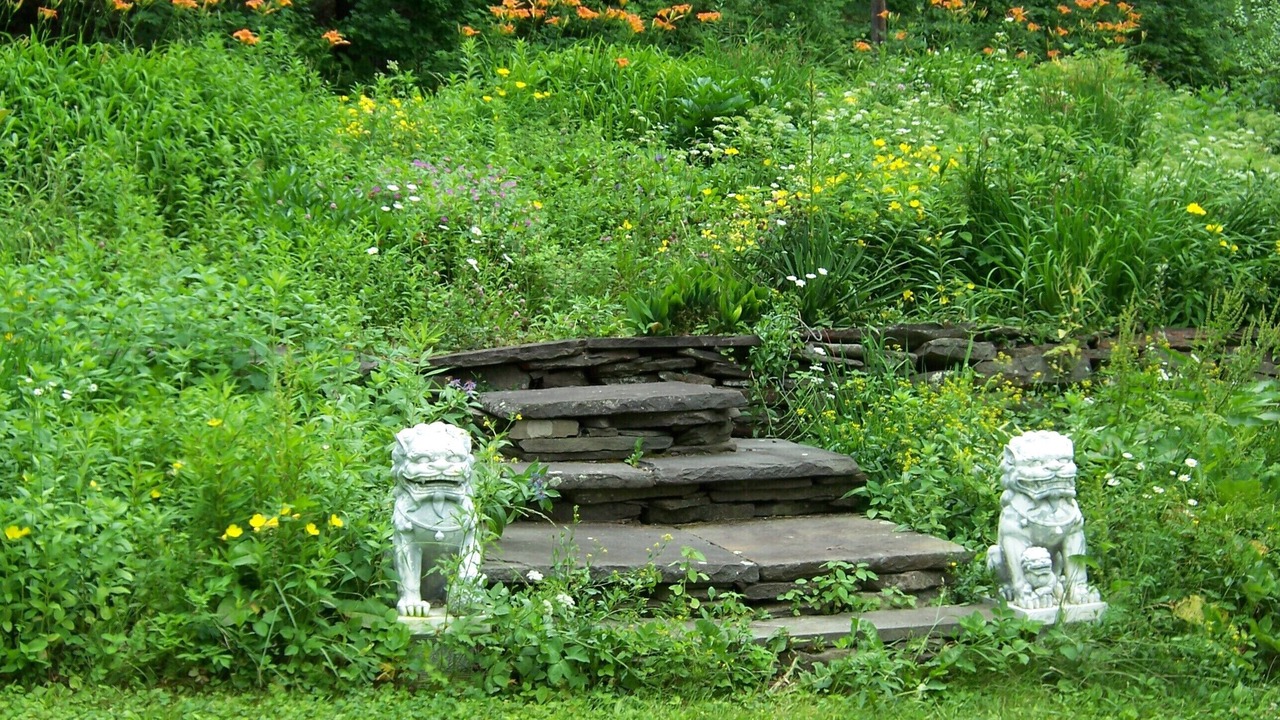 Photo of Outdoor in Big Indian