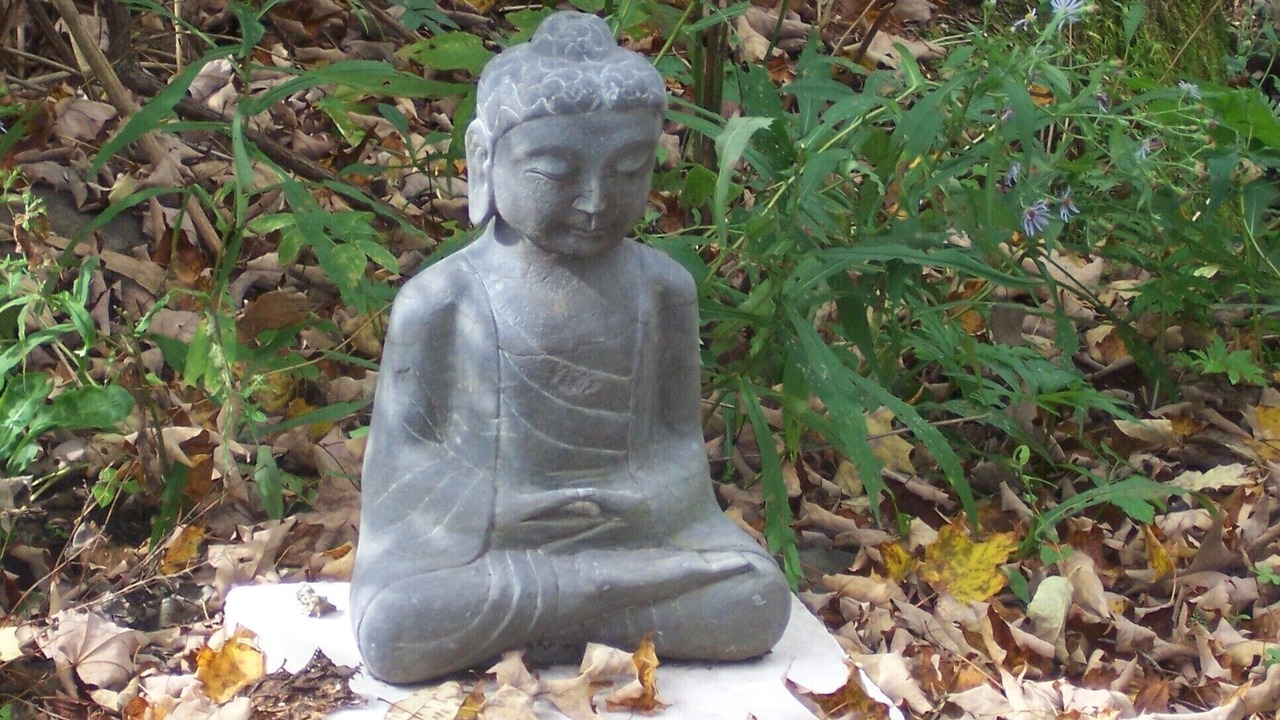 Photo of Outdoor in Big Indian