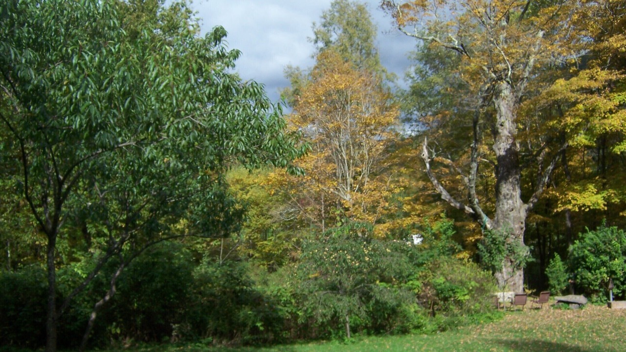 Photo of Outdoor in Big Indian