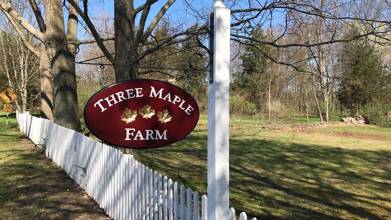 Photo of Outdoor in Hollowville