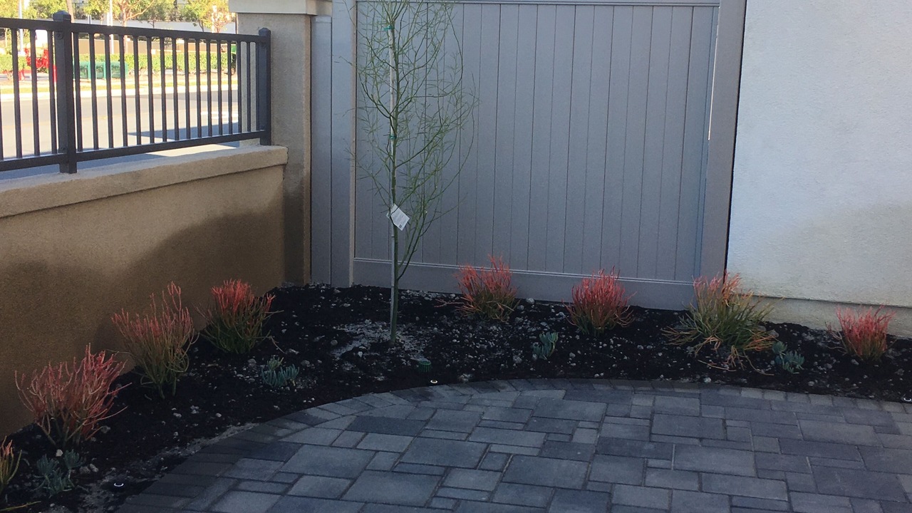 Photo of Outdoor in Foothill Ranch