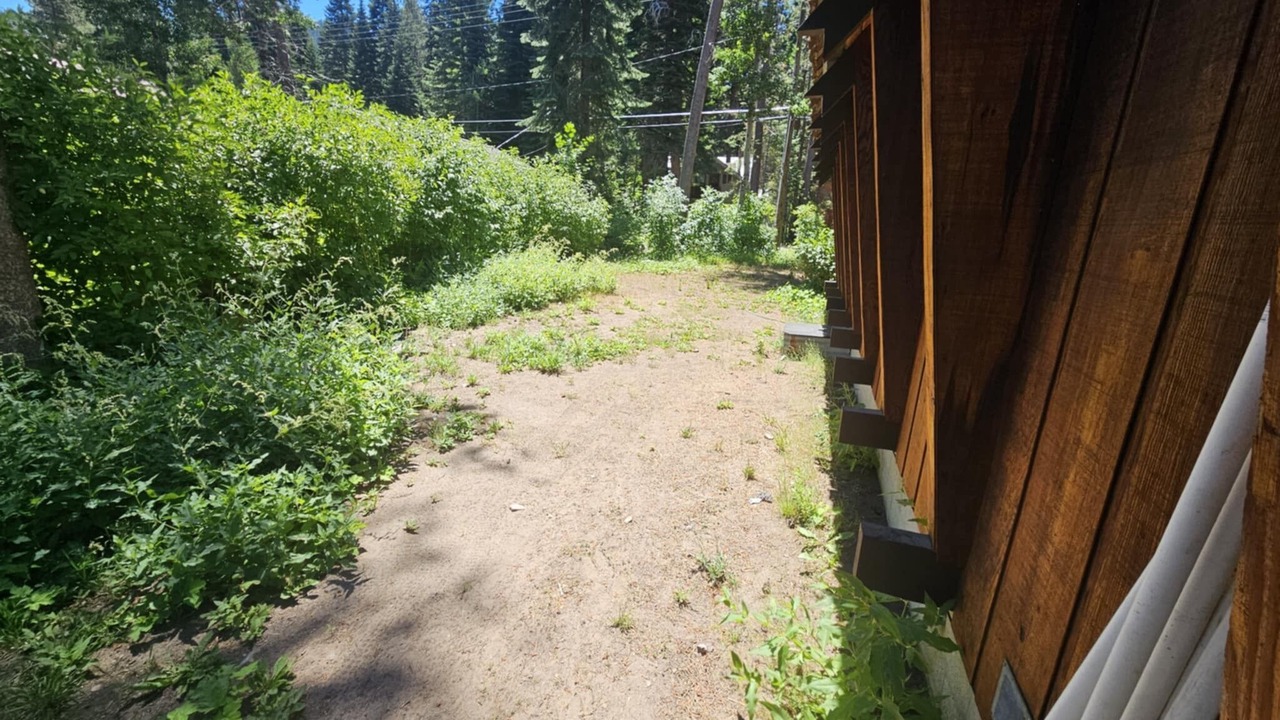 Photo of Outdoor in Donner Lake Woods