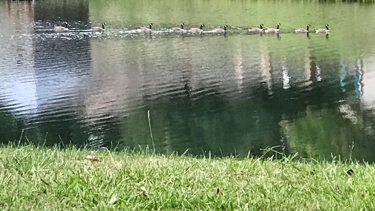Photo of Outdoor in Canton