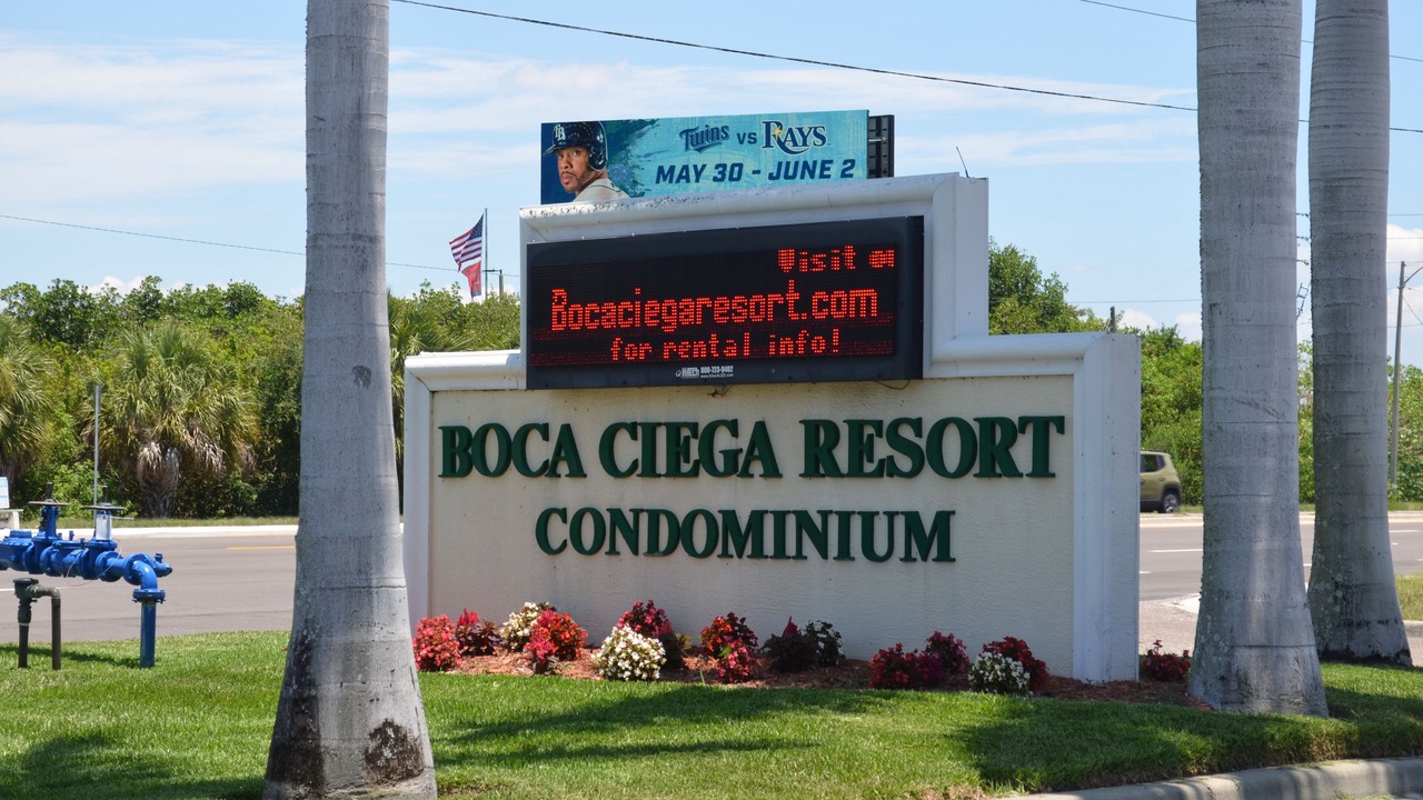 Photo of Outdoor in St. Petersburg - Clearwater