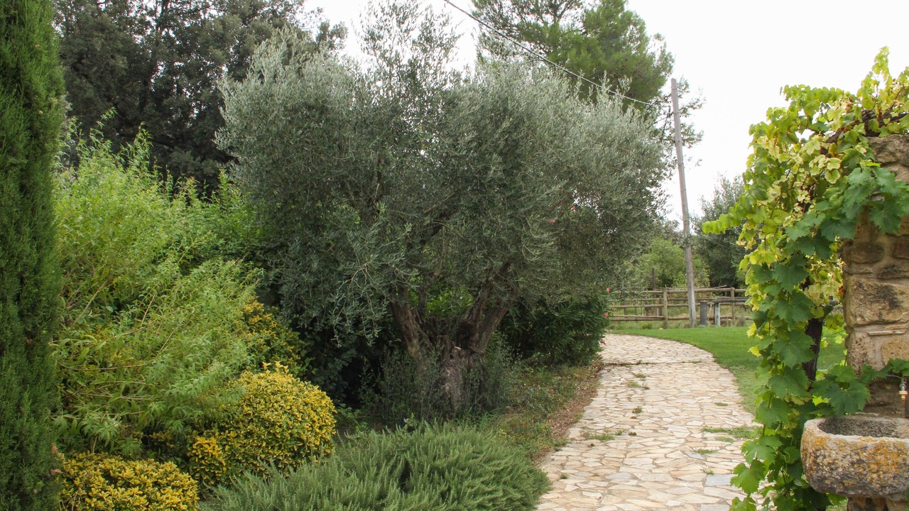 Photo of Outdoor in Llampaies