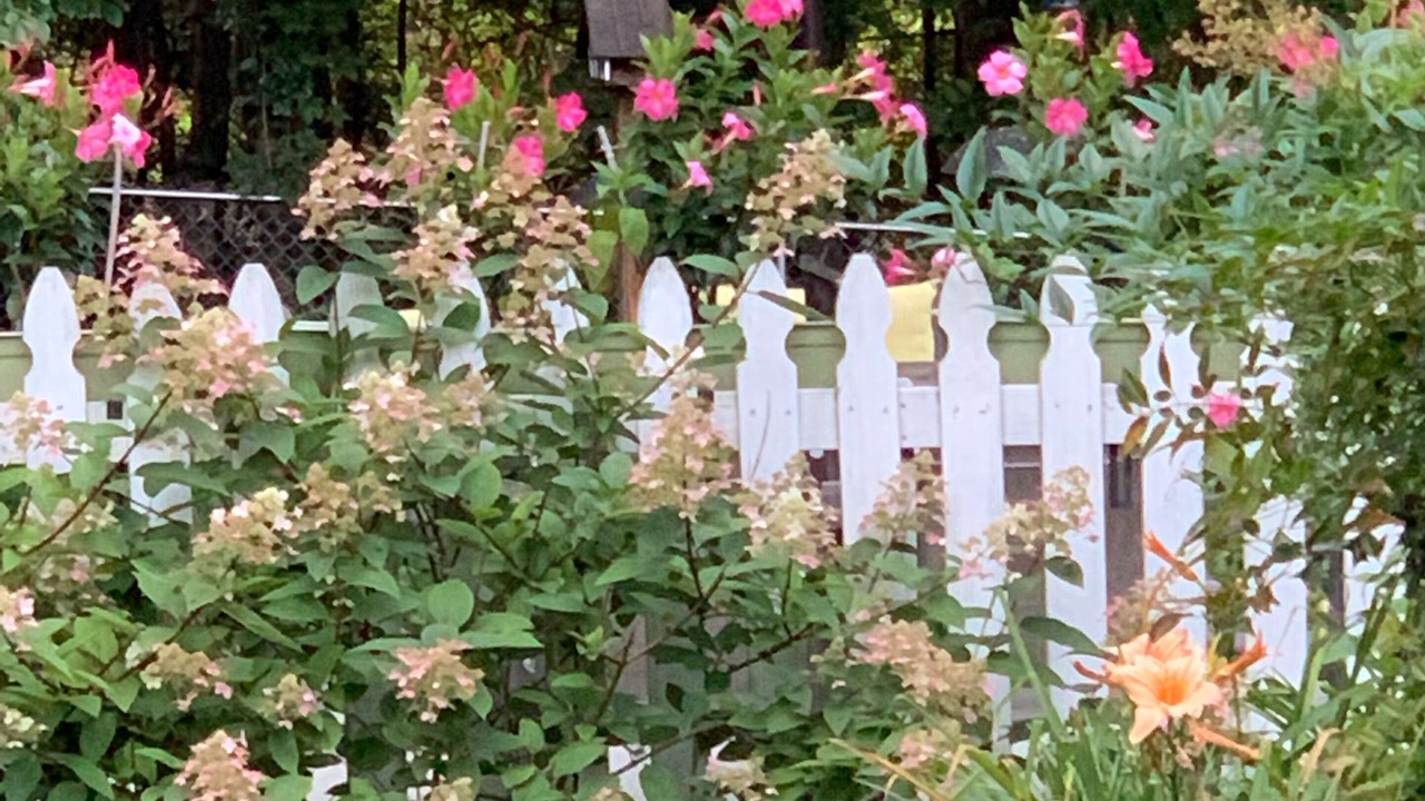 Photo of Outdoor in Hendersonville