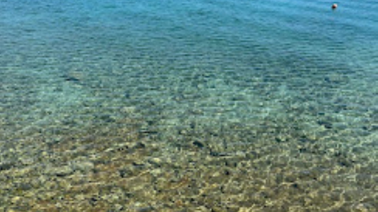 Photo of Others in Sourpi