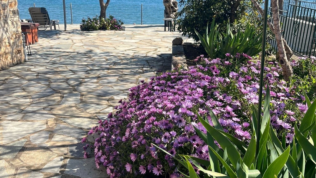 Photo of Outdoor in Sourpi