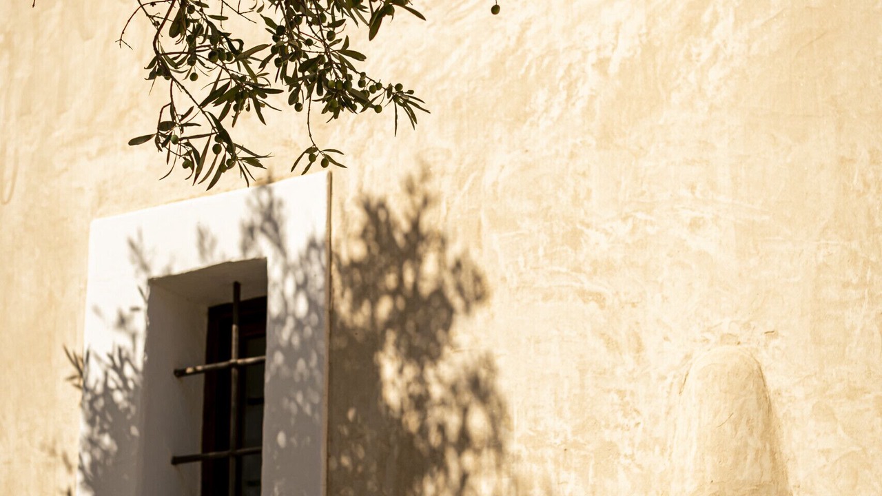 Photo of Outdoor in Sant Francesc Xavier