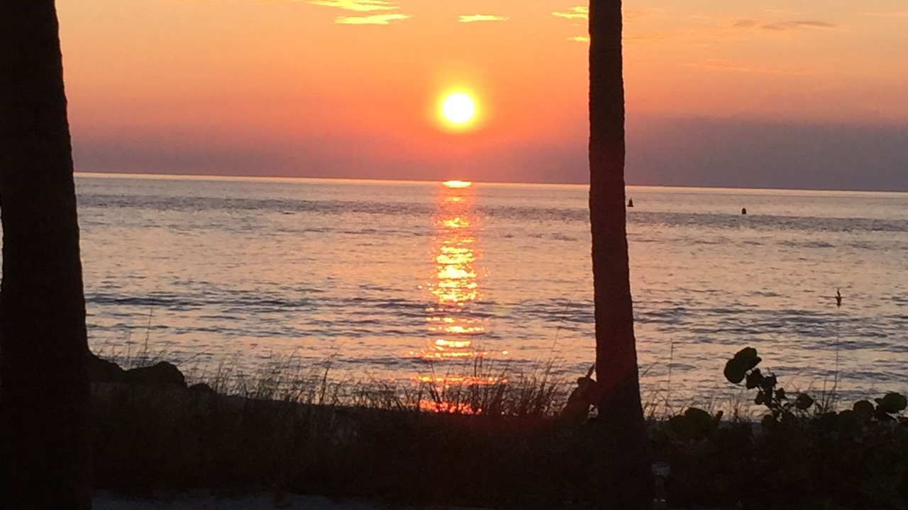 Photo of Others in South Bimini